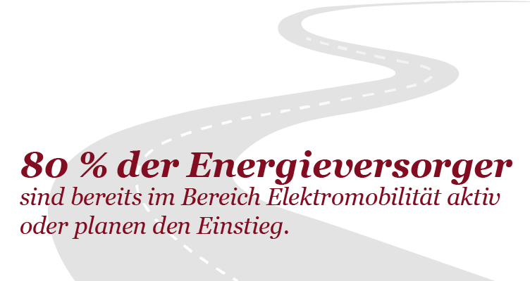 Dossier Elektromobilität Einleitungsartikel Grafik PwC