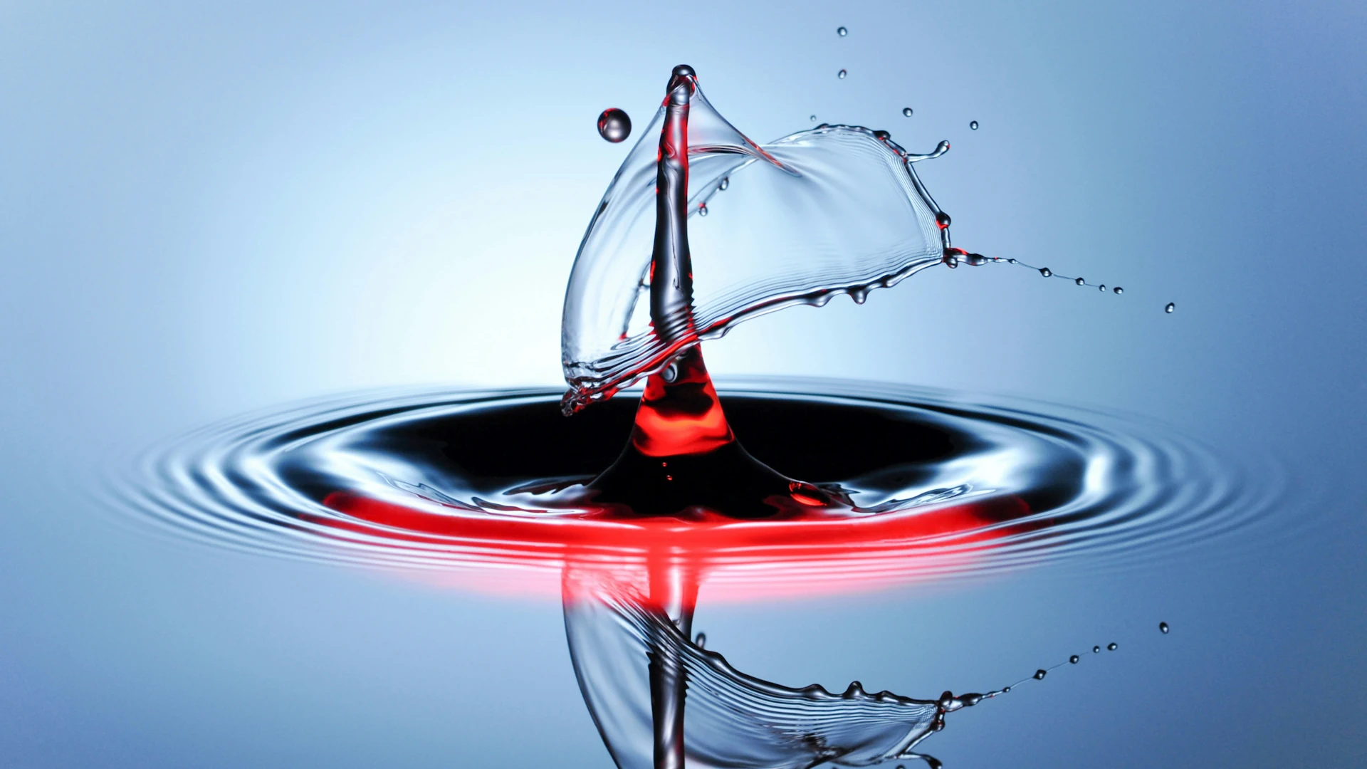 Branchenbild der Wasserwirtschaft 2025