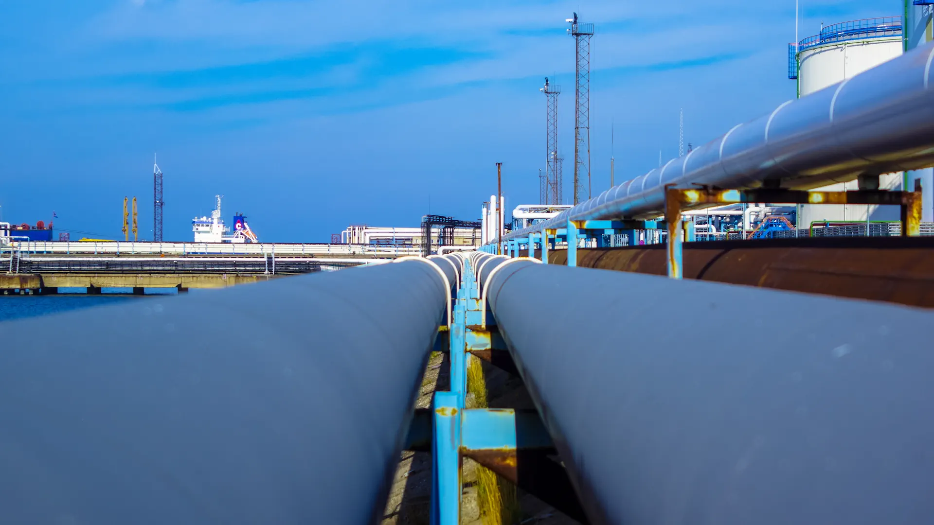 Carbon Management: Ein Baustein auf dem Weg zur Klimaneutralität