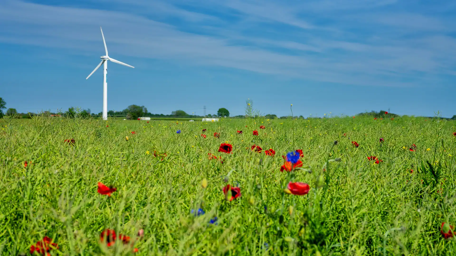 Erneuerbaren Energien: Die wichtigsten Kennzahlen im Überblick