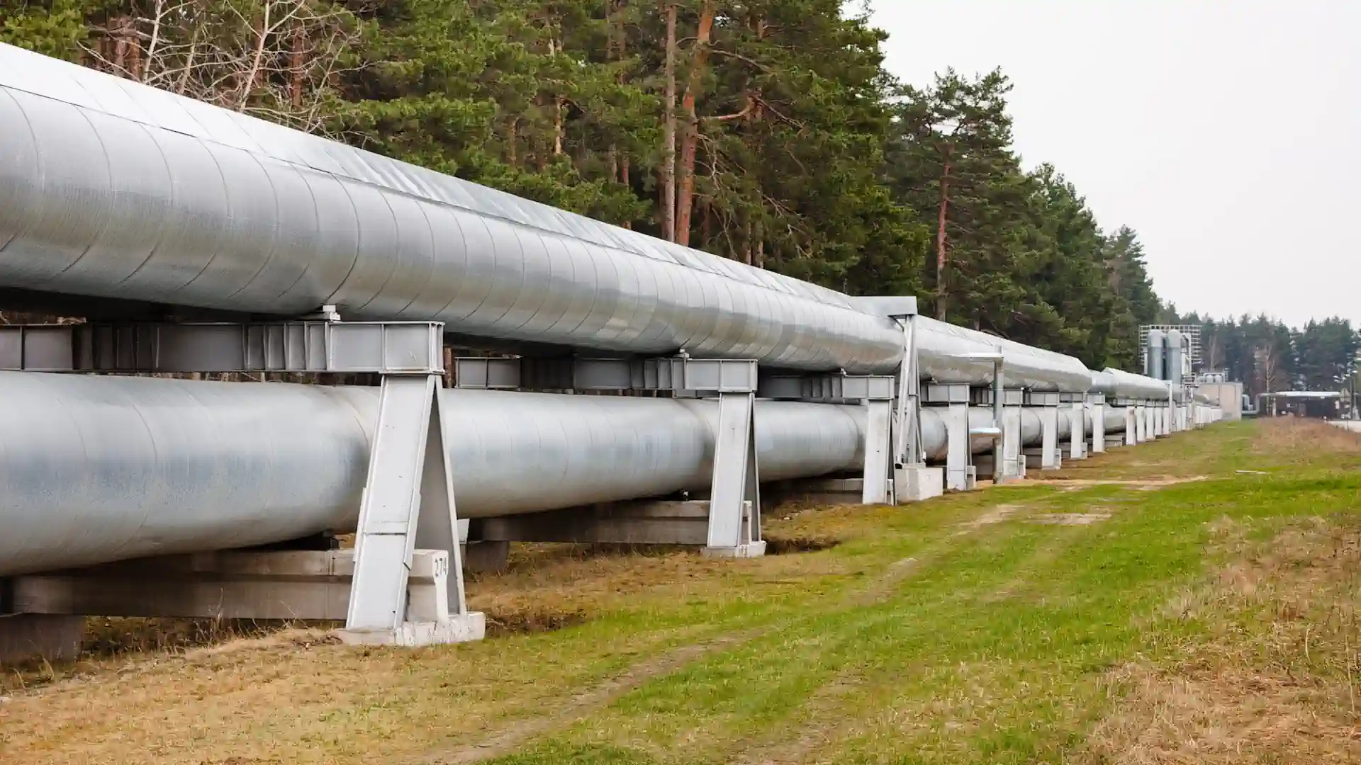 Pipeline in einer Totale; im Vordergrund eine Straße, im Hintergrund ein Wald und ein grauer Himmel.