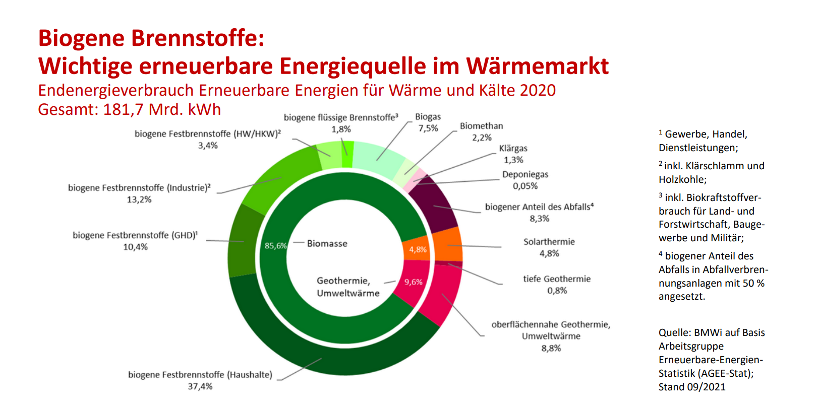 Endenergieverbrauch Erneuerbare Energien (2020) © BDEW